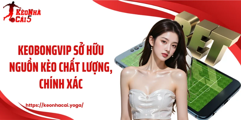 Keobongvip sở hữu nguồn kèo chất lượng, chính xác