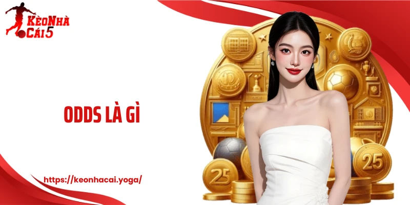 Odds Là Gì? Bí Mật Phía Sau Con Số Quyết Định Kèo